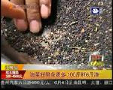 油菜籽里杂质多 100斤籽6斤渣