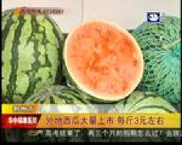 外地西瓜大量上市 每斤3元左右