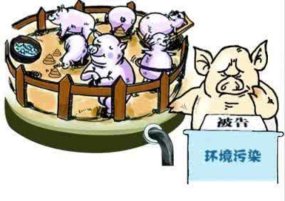 荆州区:“铁腕”关停116家养殖场 增添百姓福祉