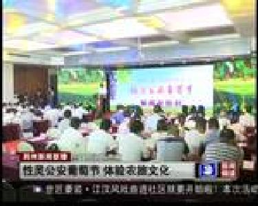 性灵公安葡萄节 体验农旅文化
