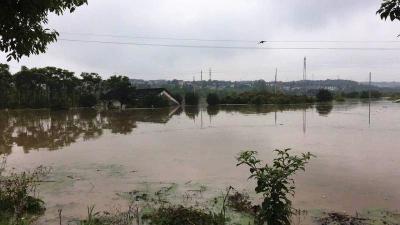 暴雨致松滋河支流暴涨 警民合力雨中救援