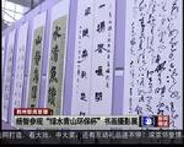 杨智参观“绿水青山环保杯”书画摄影展