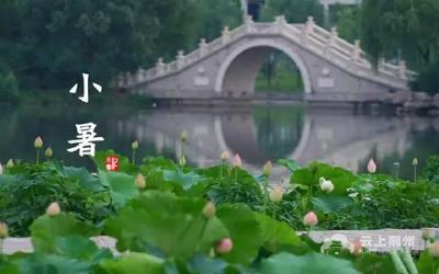 今日小暑 