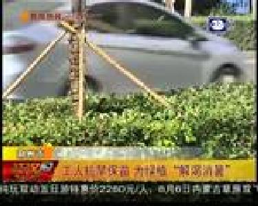 工人抗旱保苗 为绿植“解渴消暑”