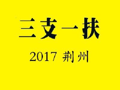 荆州市招募选派“三支一扶”大学生 10日进行面试