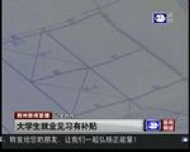 大学生就业见习有补贴