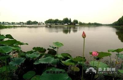 关于拟命名2017年度荆州市“市级生态乡镇”和“市级生态村”的公示
