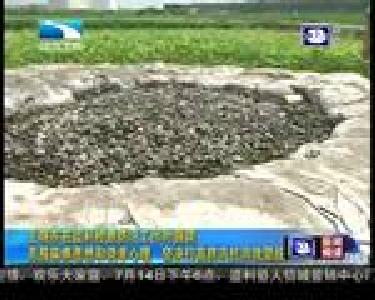 王晓东在监利检查防汛工作