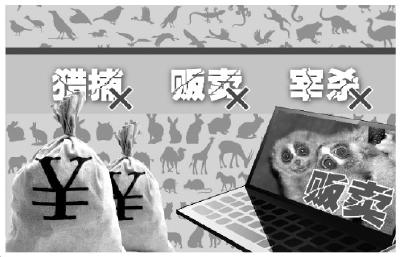 荆州各地打击非法售卖野生动物 保护林业生态资源