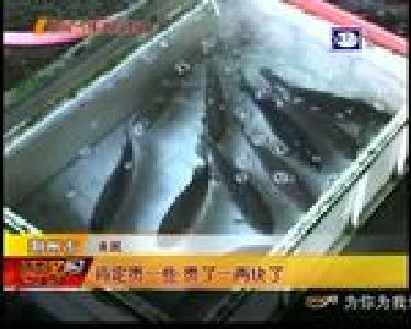 鱼类供不应求 每斤上涨1到2块