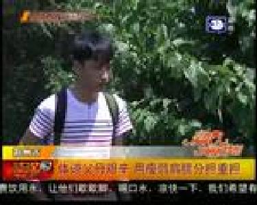 体谅父母艰辛 用瘦弱肩膀分担重担