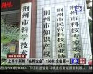 上半年荆州“在孵企业”156家 全省第一