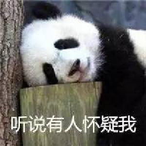 BBC，请不要再伤害我们的熊猫了！