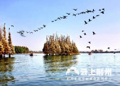 湖北发3亿奖金给这些市县，得分越高奖金越多，荆州“分”多少？ 