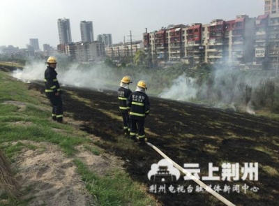 荆江大提红星路段草地起火 消防人员及时扑灭