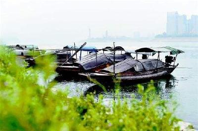 全省79个保护区将全面“禁渔” 洪湖明年1月前禁捕