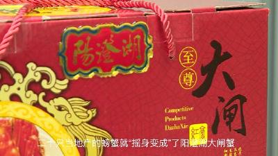 阳澄湖大闸蟹：市场上多少是真的？ 真的有多贵？