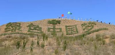 为使荒漠变绿洲，他们把治沙和种树当作信仰