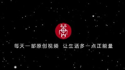虎座鸟（原创视频）