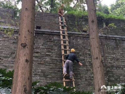 迎国庆 荆州博物馆为古城墙做