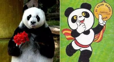 昨天，整个世界都喜欢的这只大熊猫走了……