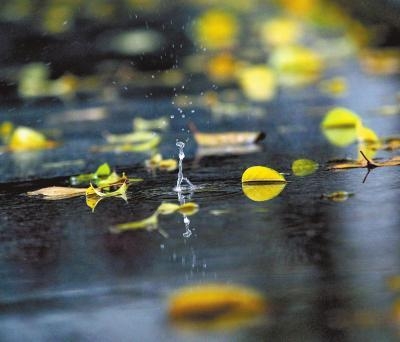 湖北局部大到暴雨来袭降温5℃ 或将影响秋收进程