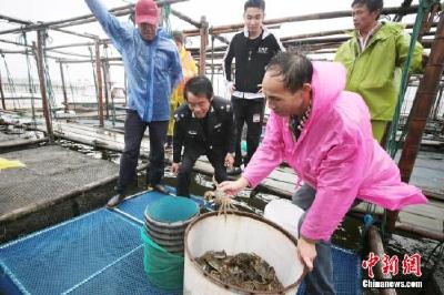 阳澄湖大闸蟹高价困局：集团采购蟹卡、蟹券减少