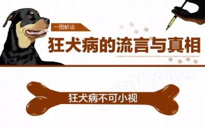 一图｜狂犬病的真相：这些问题 你还要误解多久？