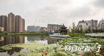 围观！荆州又将新增一座公园