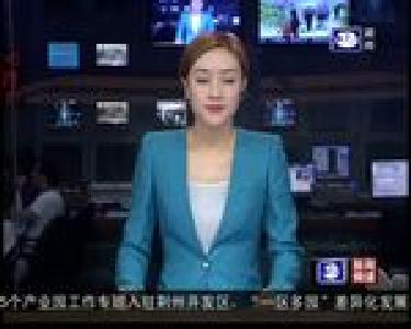 短消息：成品油年内第7次价格上调