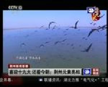 喜迎十九大 还看今朝：荆州元素亮相
