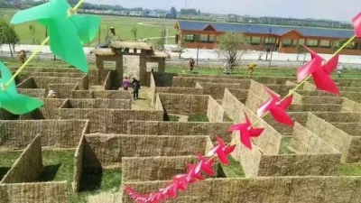 烧脑！中国荆州首届稻田迷宫大赛“攻略”提前看