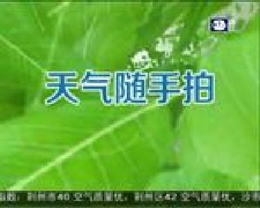江汉新气象 2017-09-19