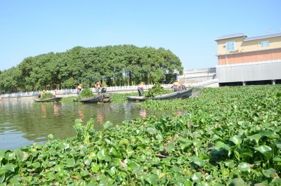 监利四湖河捞草清障工作启动 确保河道长效保洁