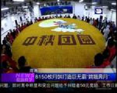 微观天下：龙凤胎大熊猫今迎来一周岁生日