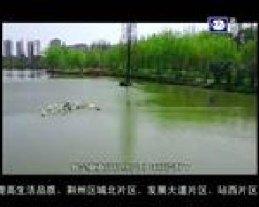 带着“中国标准”走向非洲的荆州人（下）