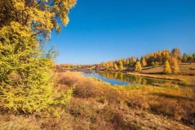 还看今朝 | 秀美雄安、绿色塞罕坝......这样的河北你“冀”住了吗？