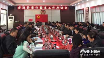 荆州市政协召开集体提案工作座谈会 