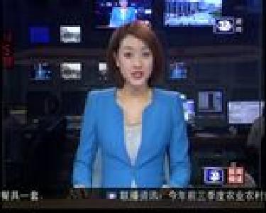 凝聚力量 奋力推进沙市区振兴发展