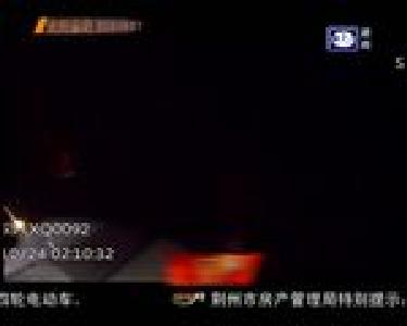 民警夜查 车上查出大量乌龟