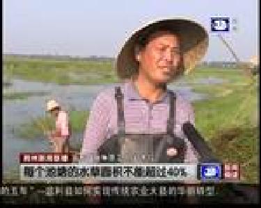 监利：后发赶超 农业大县的工业转型