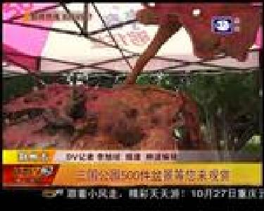 三国公园500件盆景等您来观赏