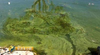 史上最严！洱海餐饮客栈大批停业！竟是因为这个...