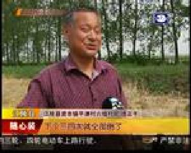 抓住晴好天气 做好抢收抢播