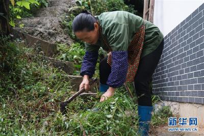 解难题，办大事；不懈怠，谋复兴——来自基层蹲点现场的报道