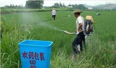 治理农业面源污染成效明显 荆州一年减少农药63吨