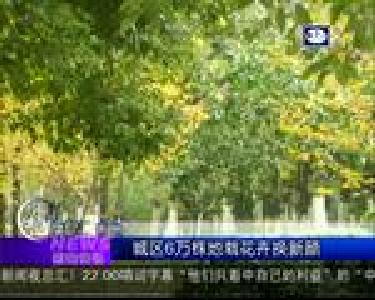 荆楚快讯：湖北查处600多起食品保健食品欺诈案