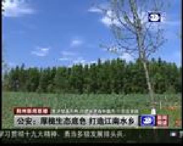 公安：厚植生态底色 打造江南水乡