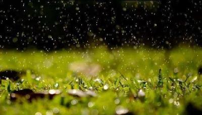 冷空气带来疾风冷雨，明起荆州气温降至个位数
