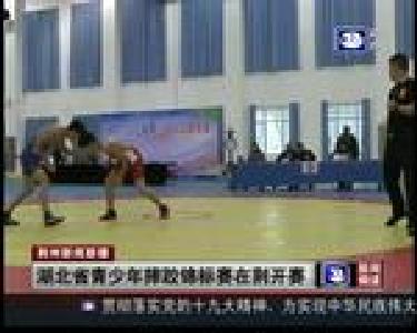 湖北省青少年摔跤锦标赛在荆开赛
